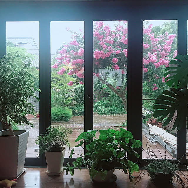 miwarinさんの実例写真
