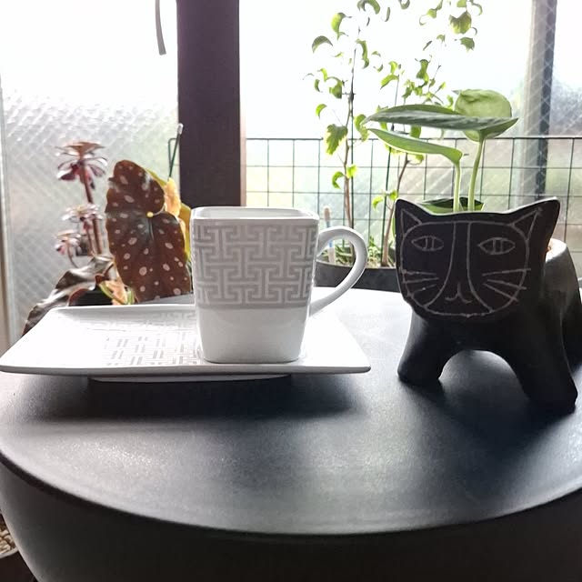 noaさんの実例写真