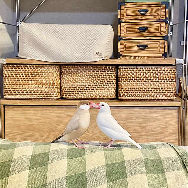 hananokaoriさんの実例写真