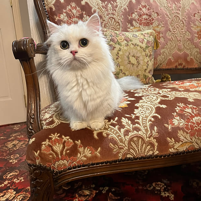 AYUKOさんの実例写真