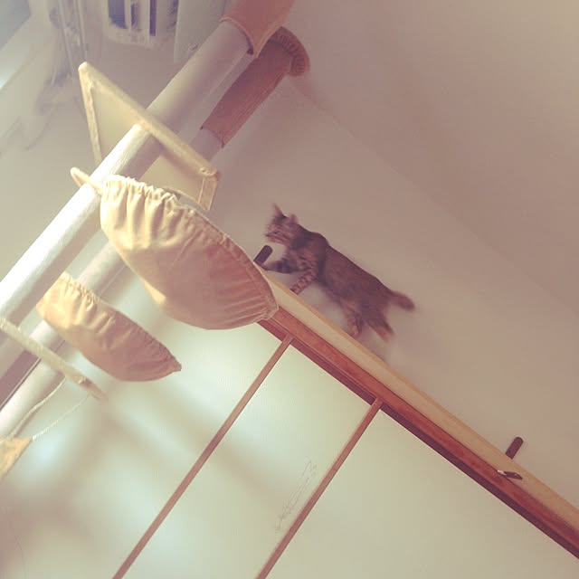 honoucさんの実例写真