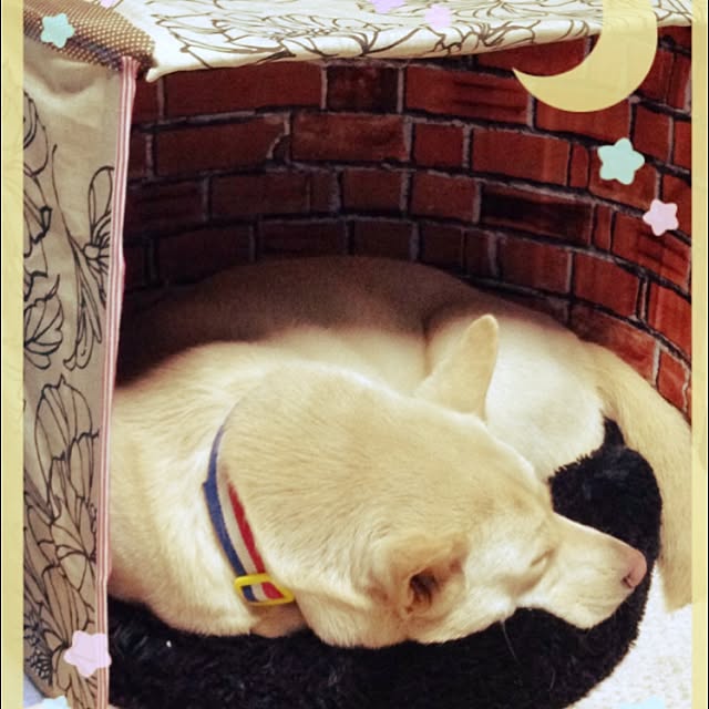 himawariさんの実例写真