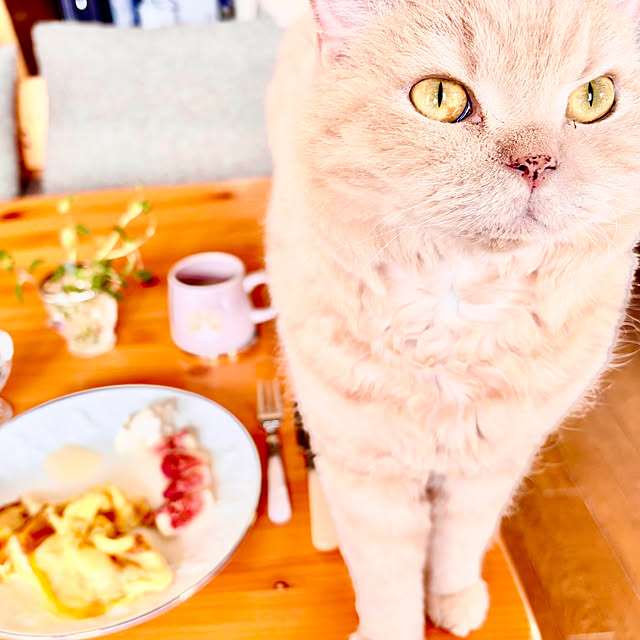 naokoさんの実例写真