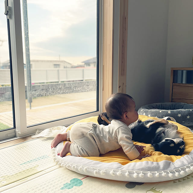 norimarukoさんの実例写真