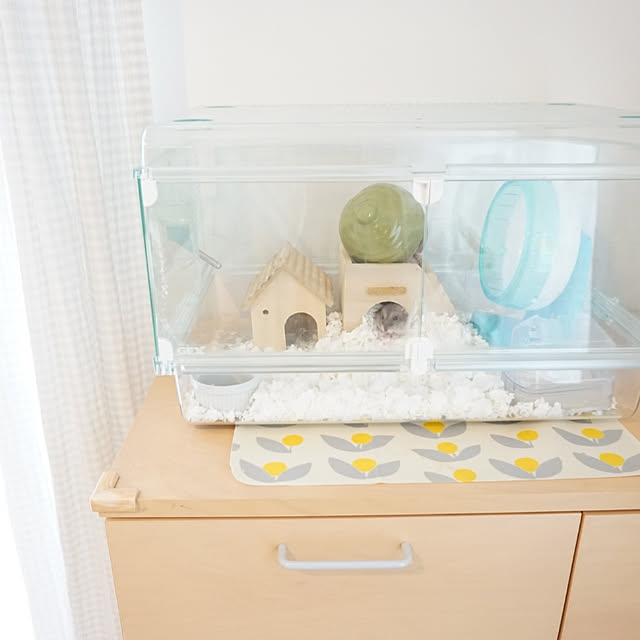 ahiruさんの実例写真