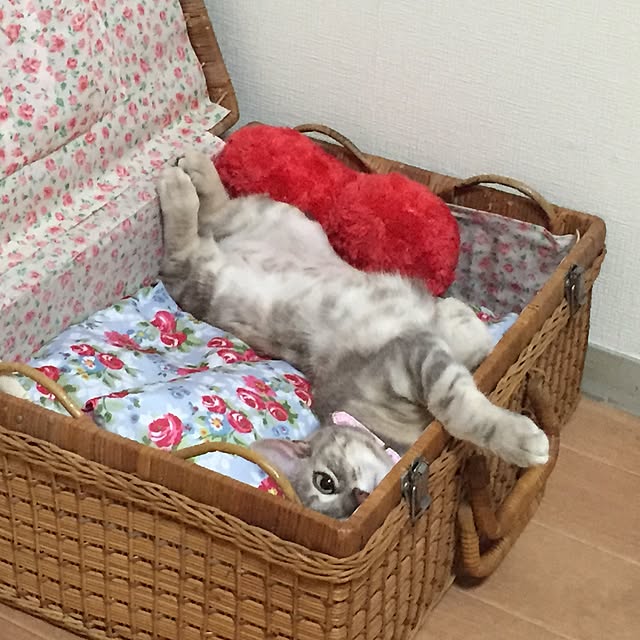 mayakaさんの実例写真