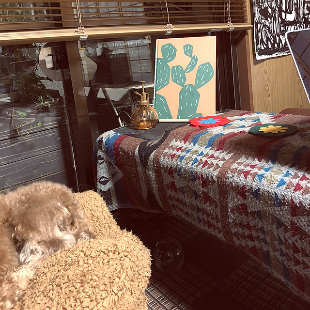 pitさんの実例写真