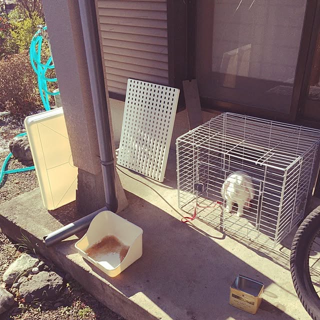 otukaresanさんの実例写真