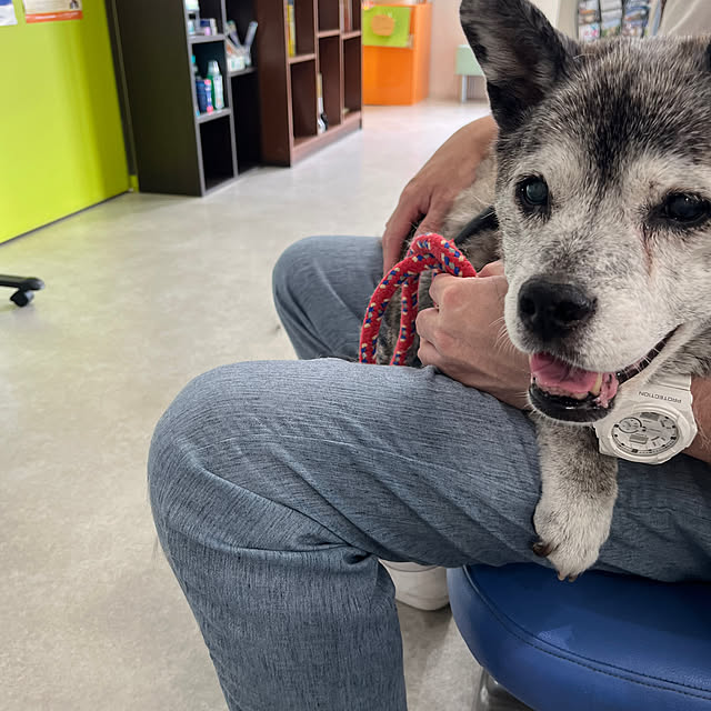 mari50さんの部屋