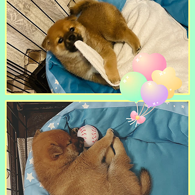 ankoさんの実例写真
