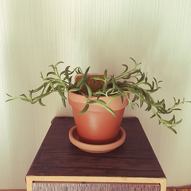 teeeemmmmmさんの実例写真