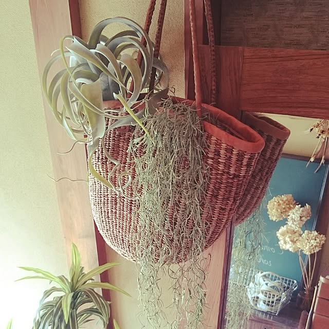 takenさんの実例写真