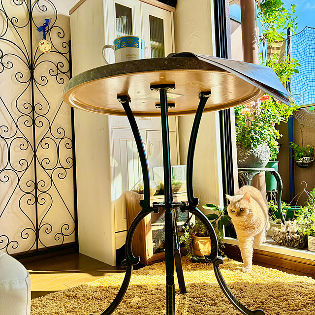 naokoさんの実例写真