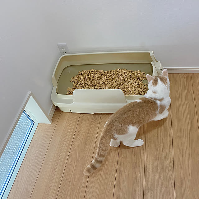 Tinaさんの実例写真