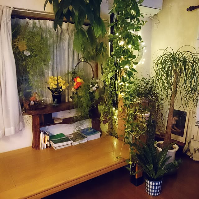 asaさんの実例写真