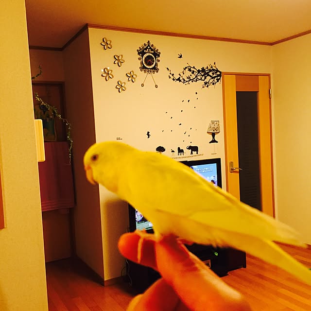 Norikoさんの実例写真