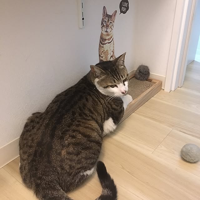 piyoさんの実例写真