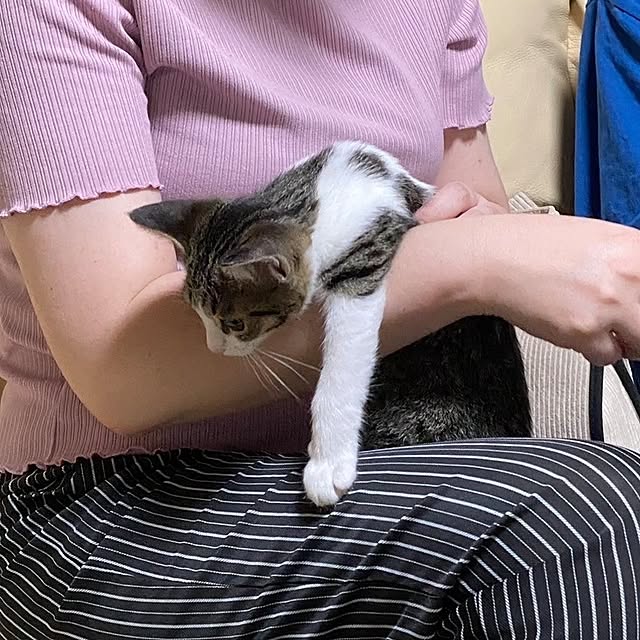 akimameさんの部屋