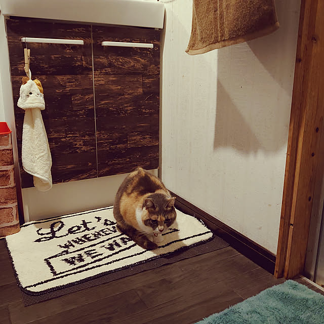 fukuさんの実例写真