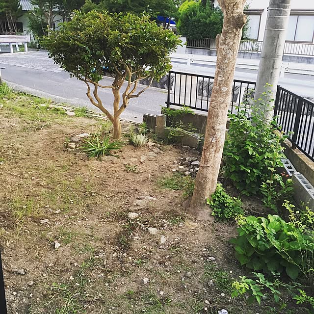Fu-koさんの実例写真