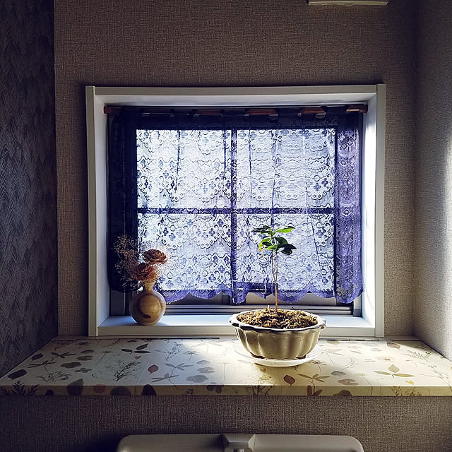 325unさんの実例写真