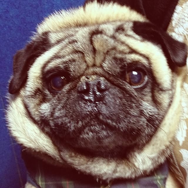 yukioさんの実例写真