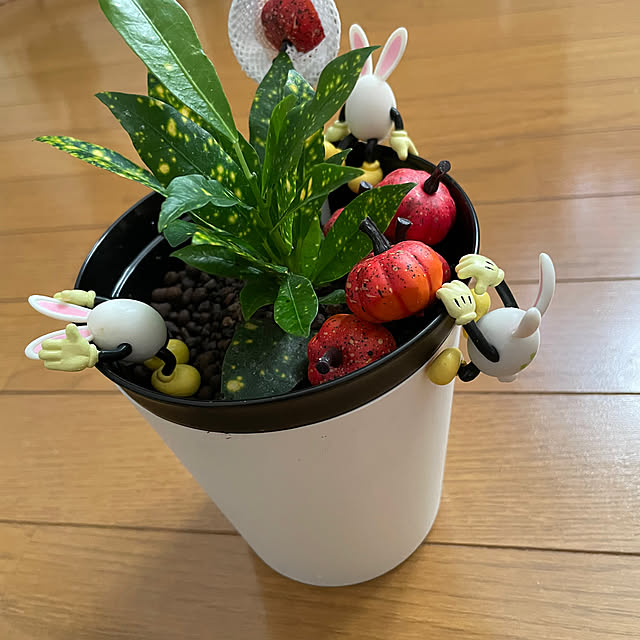 リビング/うさたま大脱走/観葉植物/ダイソー/100均...などのインテリア実例 - 2024-10-13 16:09:35