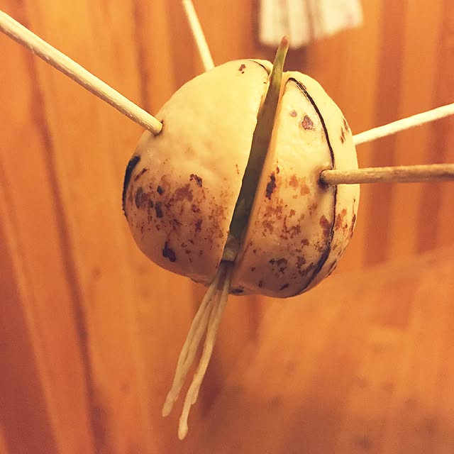 takayukiさんの実例写真