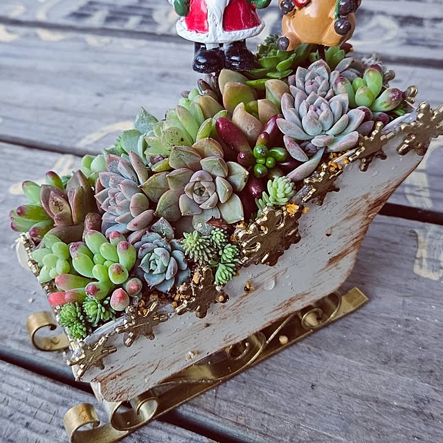 mocomocoさんの部屋