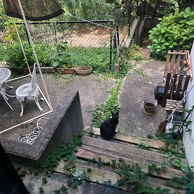 jijiさんの実例写真