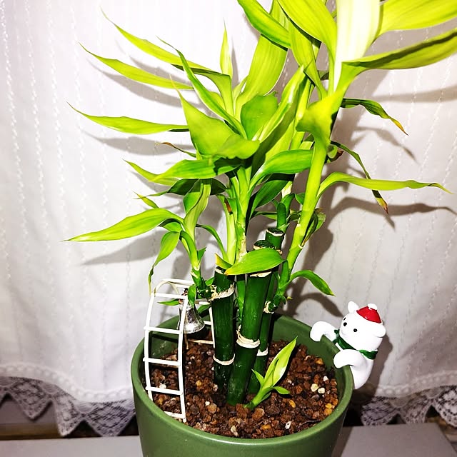 katさんの実例写真