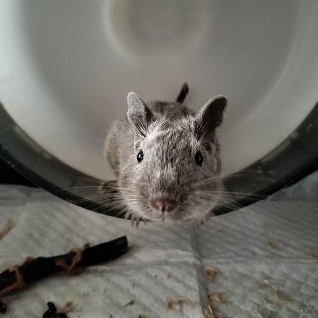 minmiさんの部屋