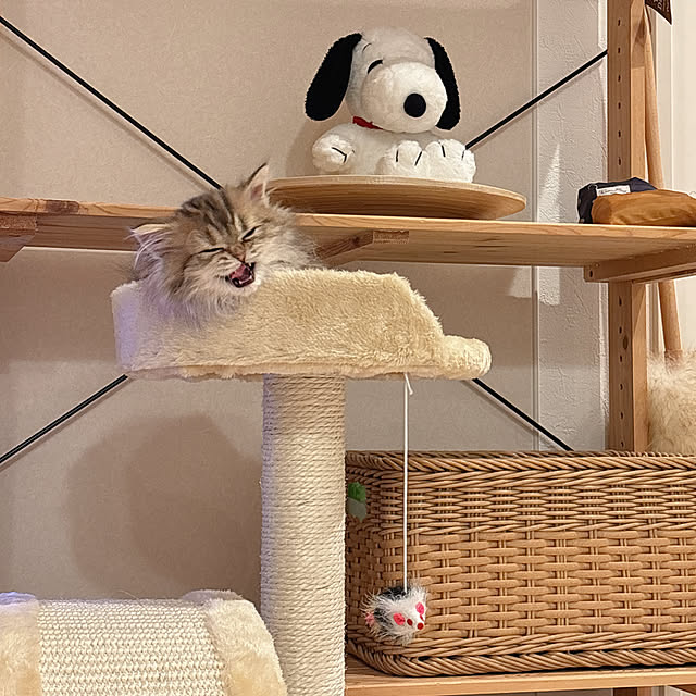 miyu39さんの部屋