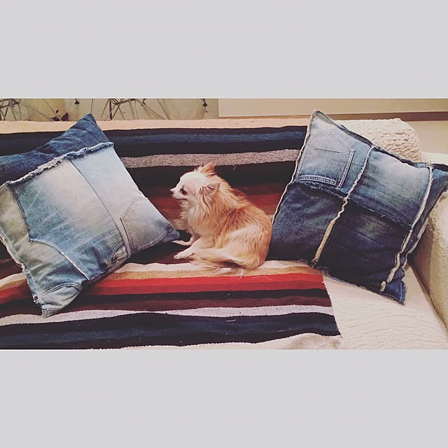 Banmamaさんの実例写真