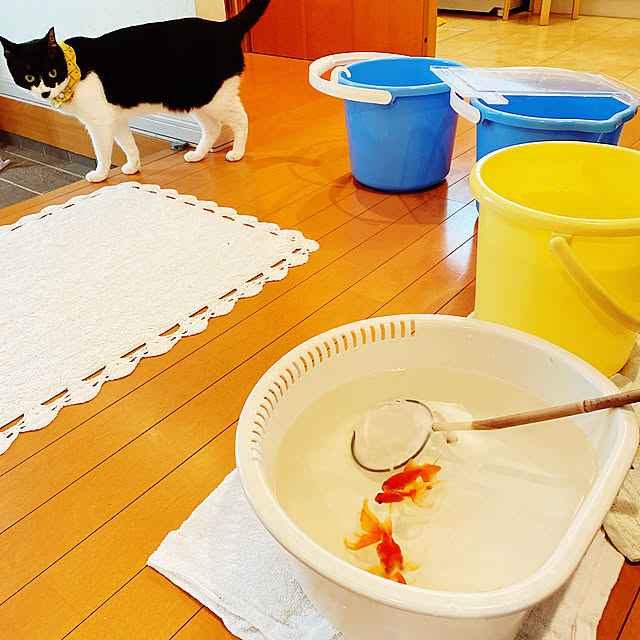 moolさんの部屋