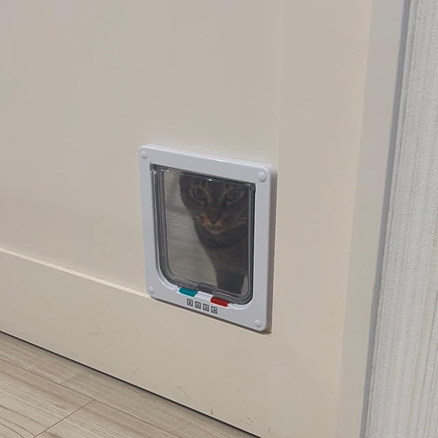 de_eeenさんの部屋