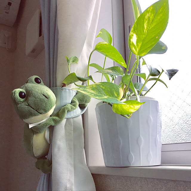 Anela.Smileさんの実例写真