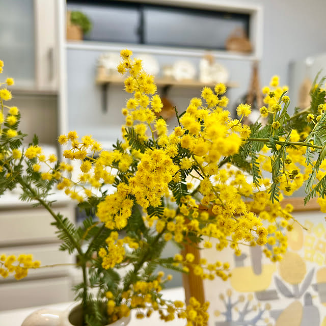 sari-rinさんの部屋