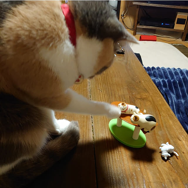 fukuさんの実例写真