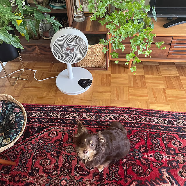rueさんの部屋