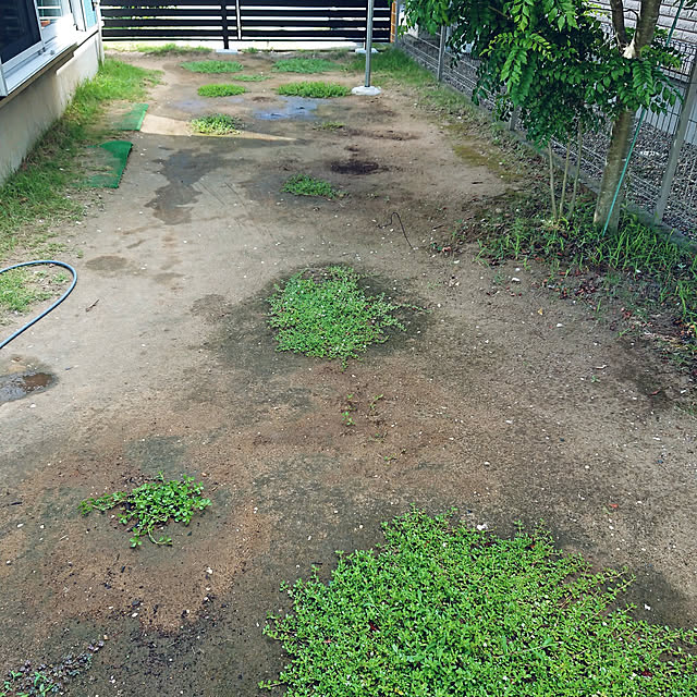 urchinさんの実例写真