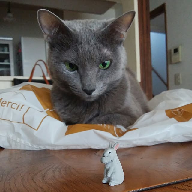 tomo1220さんの実例写真