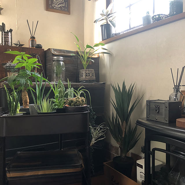 rintarotantan7さんの部屋