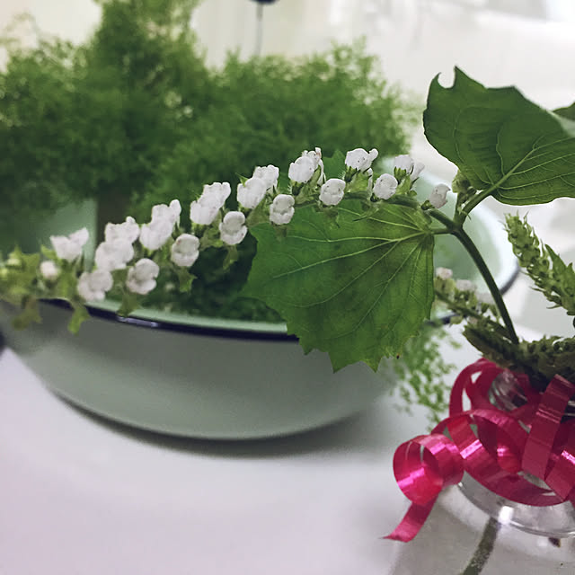 takakoさんの実例写真