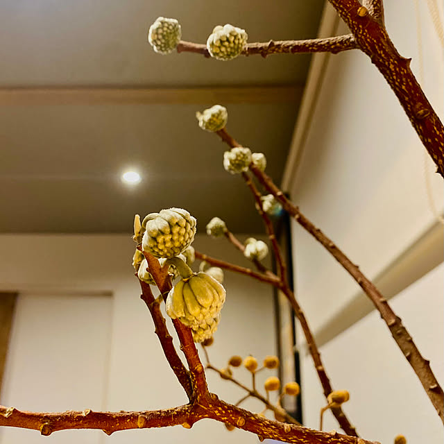 roenさんの部屋