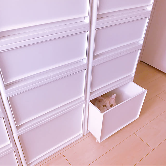 H.Tさんの実例写真