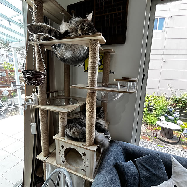 mayumiさんの部屋
