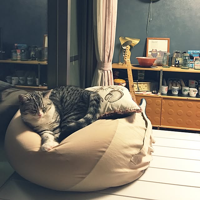Shojiさんの実例写真