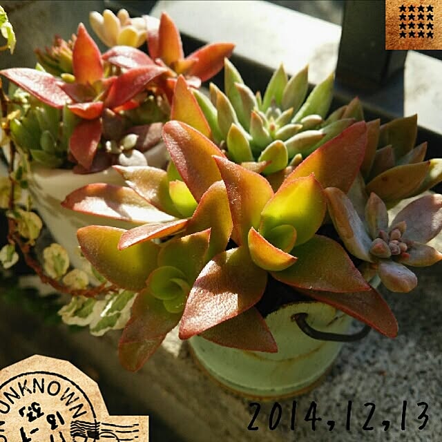 raraさんの実例写真