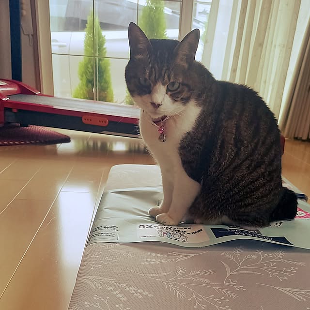 civicglさんの部屋